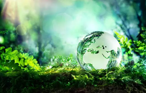 Minerva SA Sustainability
